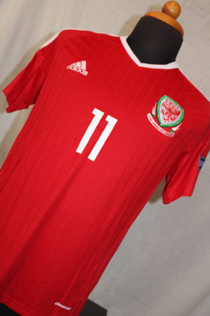 Wales16HEuro_2
