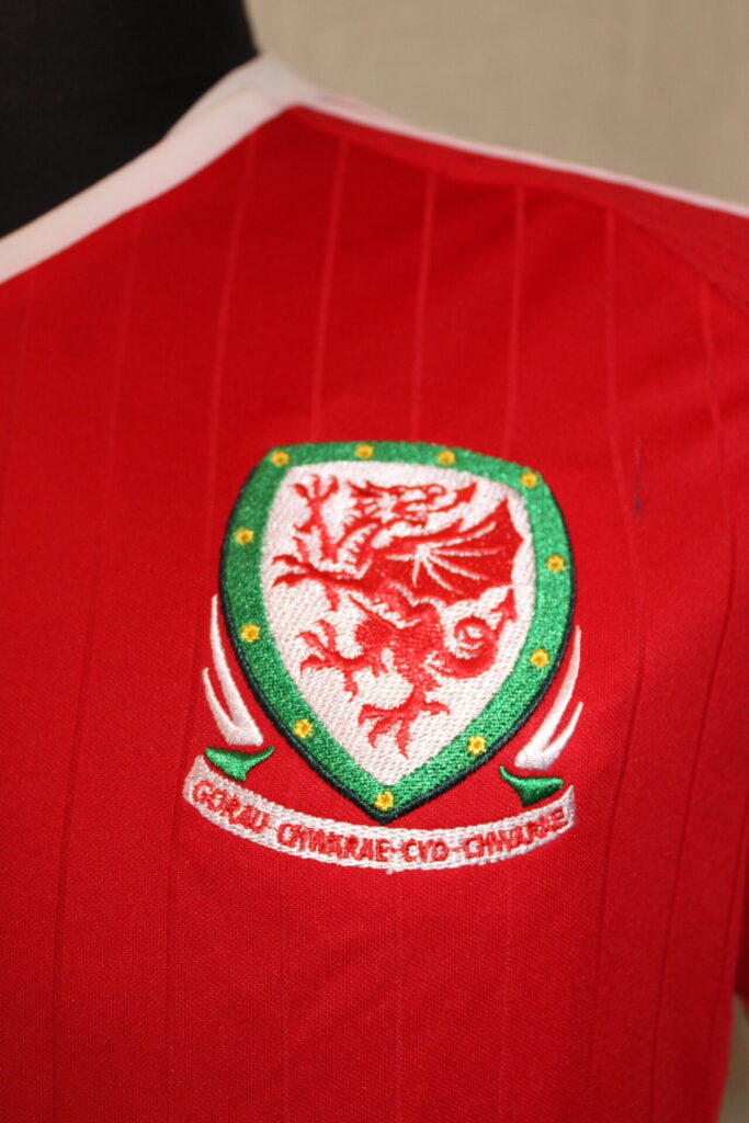 Wales16HEuro_3