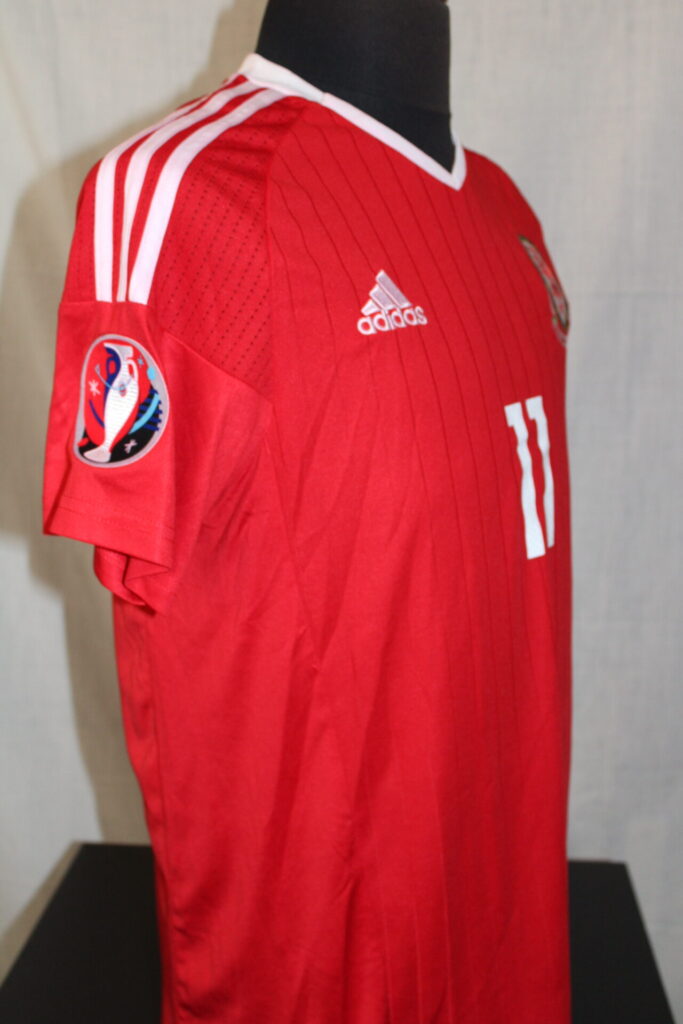 Wales16HEuro_5