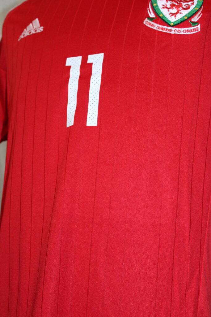 Wales16HEuro_7