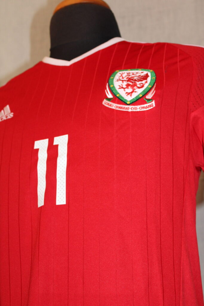 Wales16HEuro_8